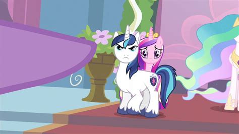 Shining Armor and Princess Cadance: The Power Couple of Equestria